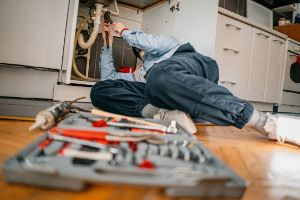 Best Local Plumber Services  in Toro Nyon, CA