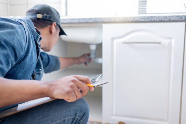 Best Local Plumber Services  in Toro Nyon, CA