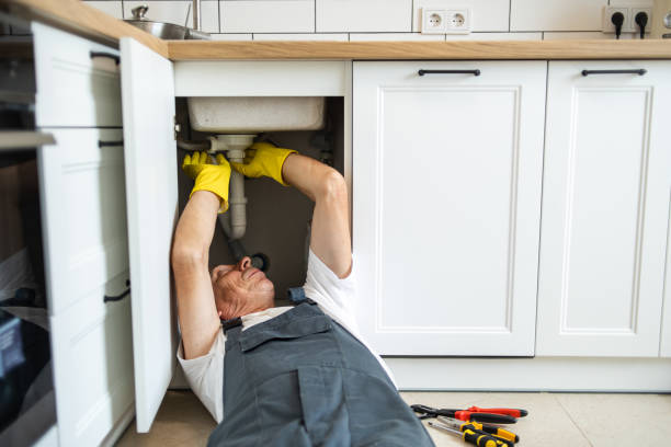Best Plumbing Installation Services  in Toro Nyon, CA