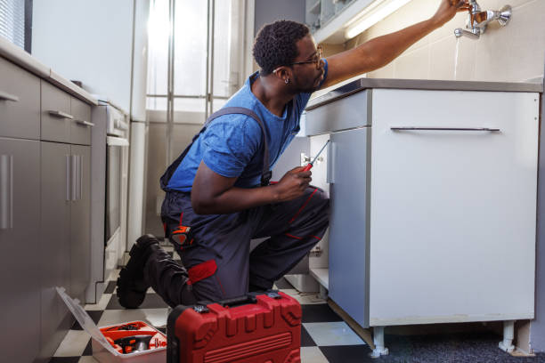 Best Same-Day Plumbing Service  in Toro Nyon, CA